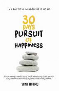 30 days pursuit of happines