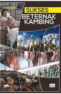 Sukses beternak kambing